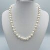 Single Strand White Pearl Necklace N2337